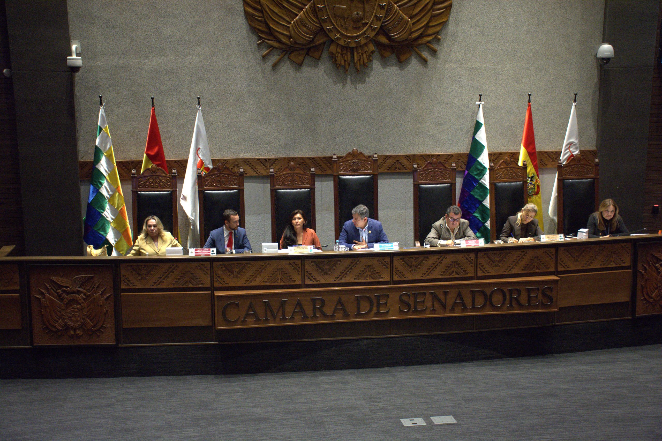 Cámara de Senadores sanciona Ley de Depósitos Judiciales del Órgano Judicial